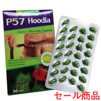 食欲抑制ダイエットサプリの商品画像 食欲抑制ダイエットサプリの商品画像