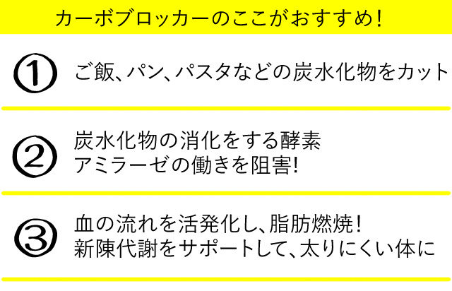 マキシマムストレングス・3in1・カーボブロッカーのここがおすすめ!